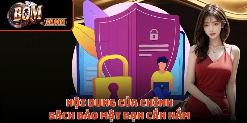 Nội dung của chính sách bảo mật bạn cần nắm