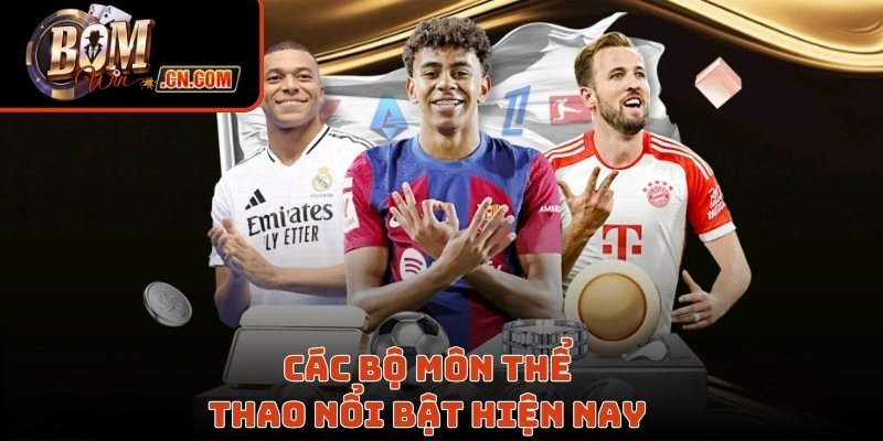 Các bộ môn thể thao phổ biến hiện nay